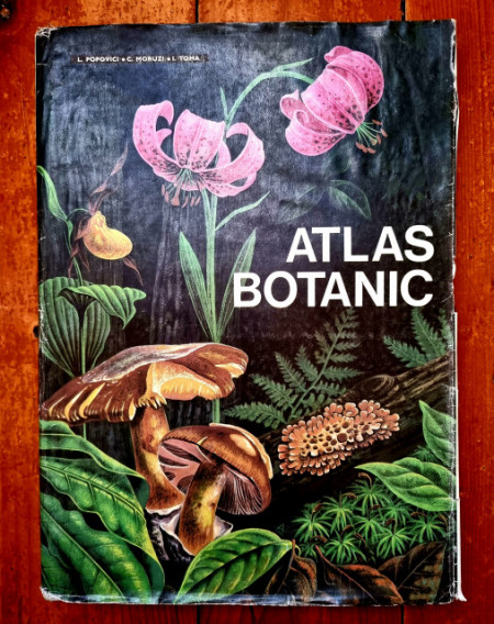 Lucia Popovici, Constanta Moruzi, Ion Toma - Atlas botanic (editie hardcover)