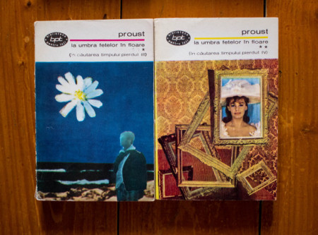 Marcel Proust - La umbra fetelor in floare (2 vol.)