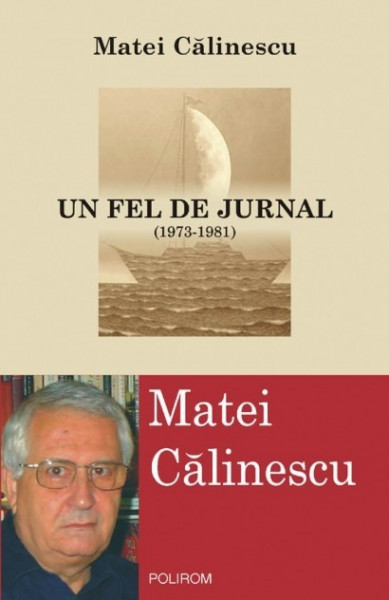 Matei Calinescu - Un fel de jurnal (1973-1981)