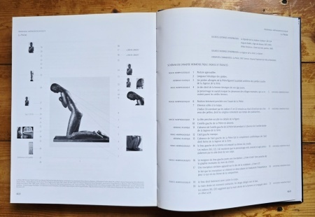 Matei Stircea-Craciun - Brancusi. Limbajele materiei (editie hardcover) - Img 7