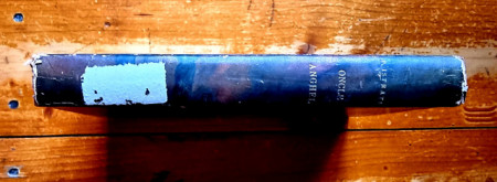 Panait Istrati - Les Recits d`Adrien Zograffi II. Oncle Anghel (editie hardcover, princeps, interbelica, frumos relegata) - Img 2