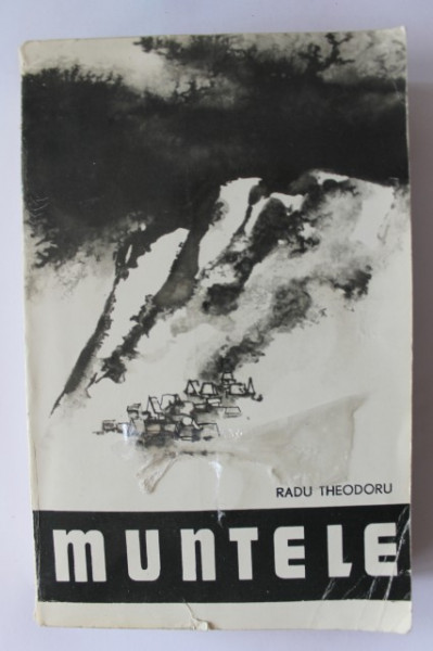 Radu Theodoru - Muntele