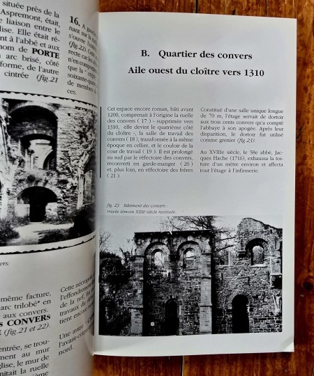 Henry Gilles - Abbaye Notre-Dame de Villers en Brabant - Img 2