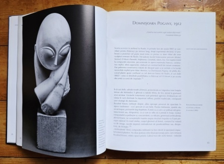 Matei Stircea-Craciun - Brancusi. Limbajele materiei (editie hardcover) - Img 4