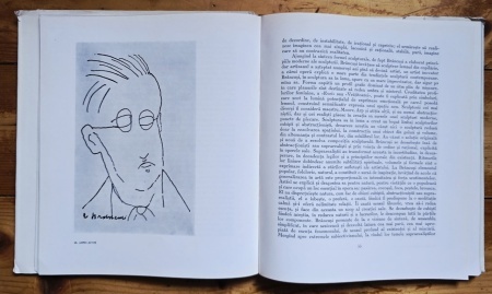 Mircea Deac - Constantin Brancusi (editie hardcover) - Img 4