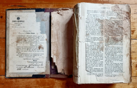 Biblia, adica Dumnezeeasca Scriptura a Legii Vechi si a Celei Noua. Tiparita in zilele Majestatii Sale Carol I, Regele Romaniei (editia Sfantului Sinod) (editie hardcover) - Img 3