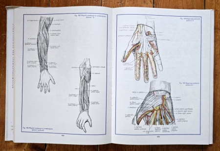 Conf. dr. Mircea Gh. Ifrim (coord.) - Atlas de anatomie umana (3 vol., editie hardcover) - Img 4