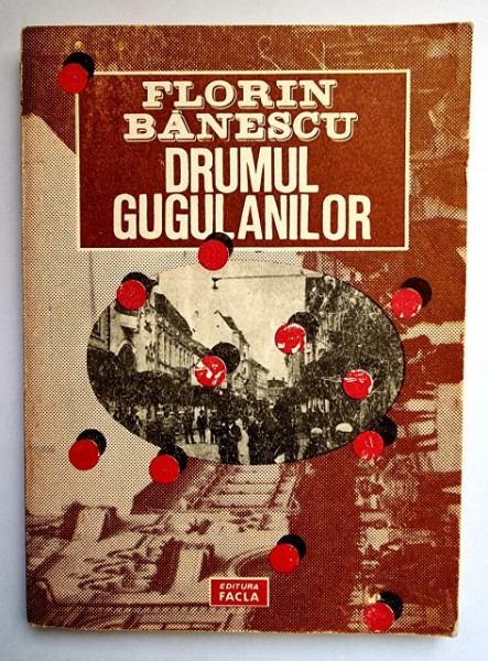 Florin Banescu - Drumul Gugulanilor (Strada)