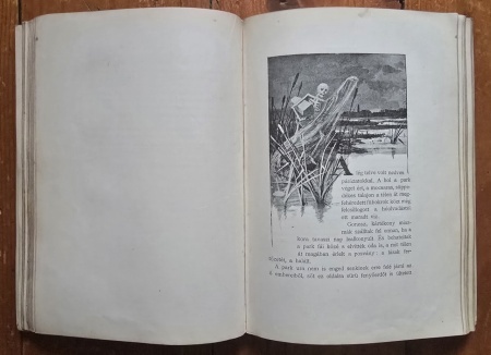 Kaposi Jozsef, Klinda Teofil - Mult es Jelen. Rajzok es elbeszelesek (editie hardcover) - Img 7