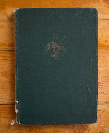 P. Raicu, M. Nachtigal - Citogenetica. Principii si metode (editie hardcover) - Img 2