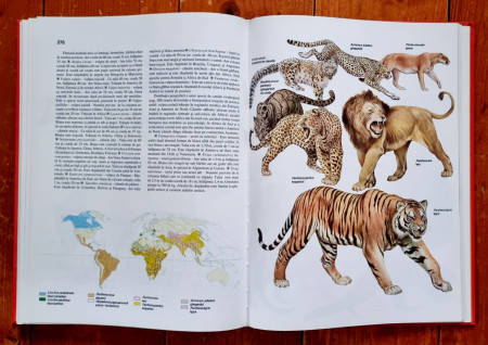 Prof. Anuta Ionescu-Andrei - Atlas zoologic (editie hardcover) - Img 5