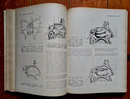 Victor Papilian - Anatomia omului. I. Aparatul locomotor, II. Splanhnologia (2 vol., editie hardcover)
