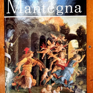 Alexandru Balaci - Mantegna (editie hardcover)