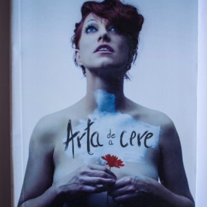 Amanda Palmer - Arta de a cere