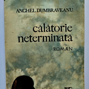 Anghel Dumbraveanu - Calatorie neterminata