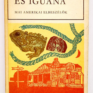 Autobusz es iguana - Mai amerikai elbeszelok