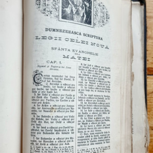 Biblia, adica Dumnezeeasca Scriptura a Legii Vechi si a Celei Noua. Tiparita in zilele Majestatii Sale Carol I, Regele Romaniei (editia Sfantului Sinod) (editie hardcover) - Img 4