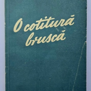 Boris Leonidov - O cotitura brusca