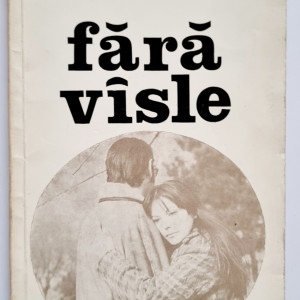 Bujor Nedelcovici - Fara vasle