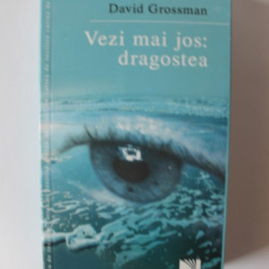 David Grossman - Vezi mai jos: dragostea