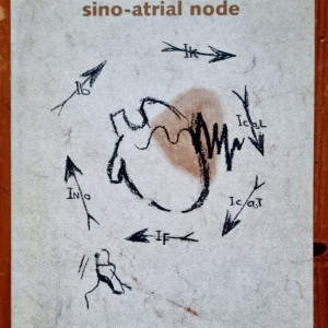 E. Etienne Verheijck - Peacemaker currents in the sino-atrial node