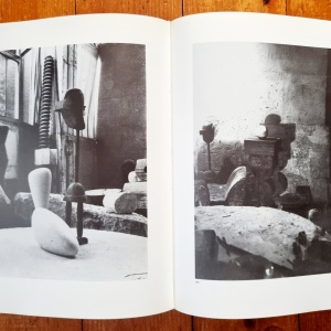 Friedrich Teja Bach - Constantin Brancusi. Metamorphosen plastischer Form (editie hardcover, in limba germana) - Img 8