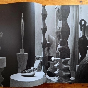 Friedrich Teja Bach, Margit Rowell, Ann Temkin - Constantin Brancusi (1876-1957) (exhibition catalog, Philadelphia Museum of Art, October 8 - December 31, 1995) - Img 2