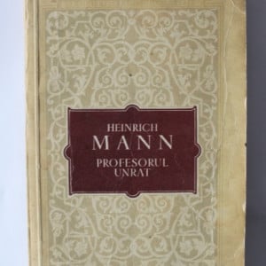 Heinrich Mann - Profesorul Unrat