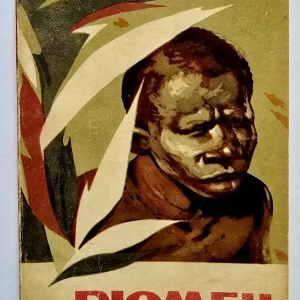 Horia Matei - Pigmeii