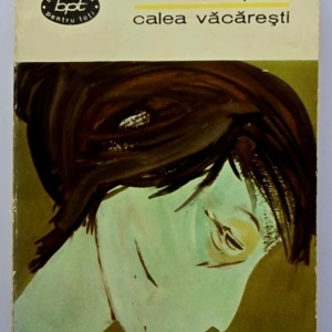 I. Peltz - Calea Vacaresti