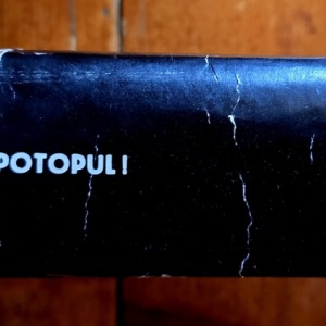 Josef Toman - Dupa noi, potopul! (editie hardcover)
