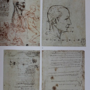 Leonardo da Vinci - The Complete Paintings and Drawings (album in limba engleza) - Img 4
