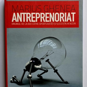 Marius Ghenea - Antreprenoriat. Drumul de la idei catre oportunitati si succes in afaceri