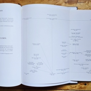 Matei Stircea-Craciun - Brancusi. Limbajele materiei (editie hardcover) - Img 8