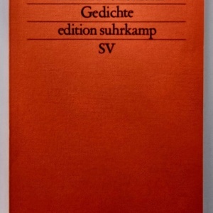 Mircea Dinescu - Exil im Pfefferkorn. Gedichte