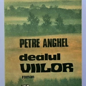 Petre Anghel - Dealul viilor