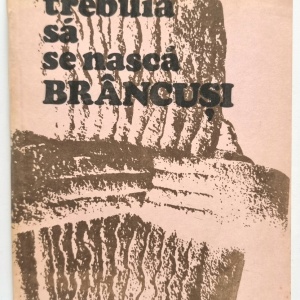 Romulus Diaconescu - Trebuia sa se nasca Brancusi