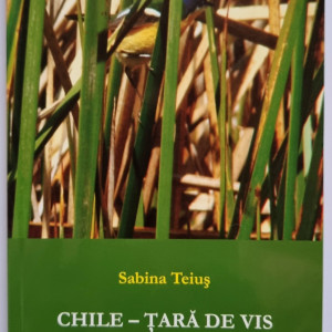 Sabina Teius - Chile - tara de vis. Impresii dintr-o calatorie