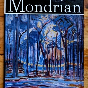 Victor Ieronim Stoichita - Mondrian (editie hardcover)