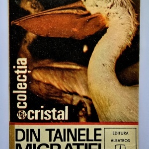 Vladimir Olaru - Din tainele migratiei animalelor