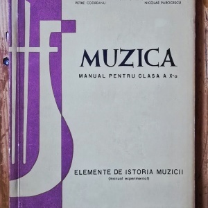 Adriana Sachelarie, Emilia Comisel, Vasile Tomescu, Petre Codreanu, Nicolae Parocescu - Muzica. Manual pentru clasa a X-a. Elemente de istoria muzicii
