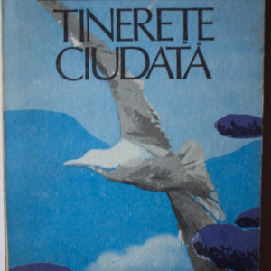Dinu Pillat - Tinerete ciudata