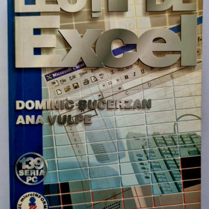 Dominic Bucerzan, Ana Vulpe - Lectii de Excel