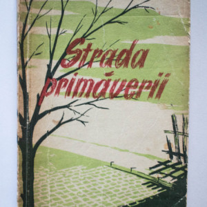 Dumitru Ignea - Strada primaverii