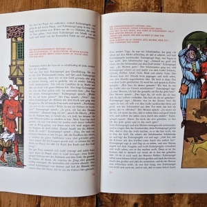 Ein kurzweilig Lesen von Till Eulenspiegel (editie hardcover) - Img 3