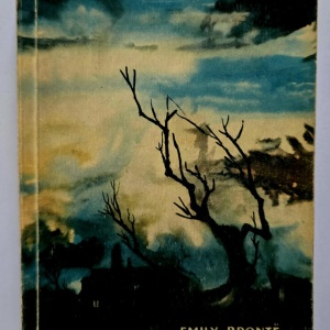 Emily Bronte - La rascruce de vanturi