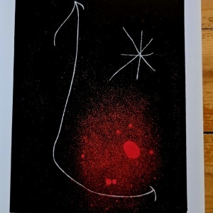 European Stars - Miro & Cobra (exhibition catalog, editie hardcover, bilingva) - Img 4