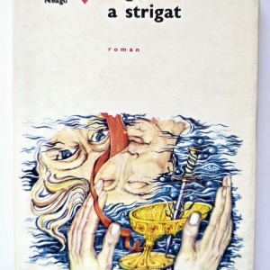 Fanus Neagu - Ingerul a strigat (editie hardcover)