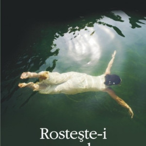 Francisco Goldman - Rosteste-i numele
