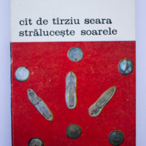 Genevieve Laporte - Cat de tarziu seara straluceste soarele